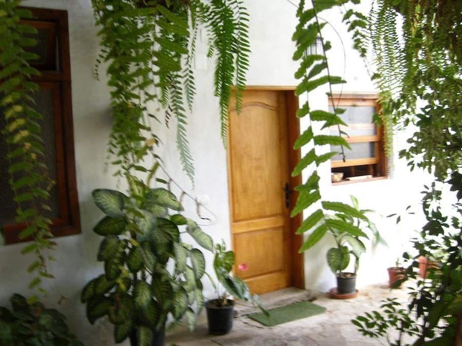 فيلا Preciosa Casa Emblematatica, Piscina,Wifi Santa Catalina المظهر الخارجي الصورة